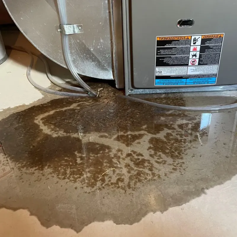 Pipe Burst and Leak Restoration in Buckfield, ME