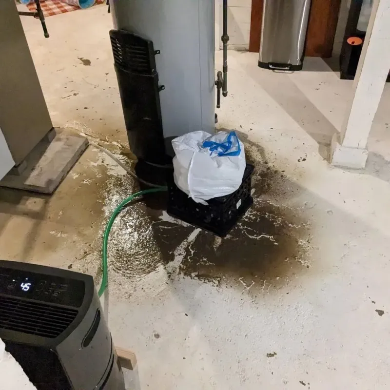 Sewage Backup Cleanup Service in Buckfield, ME